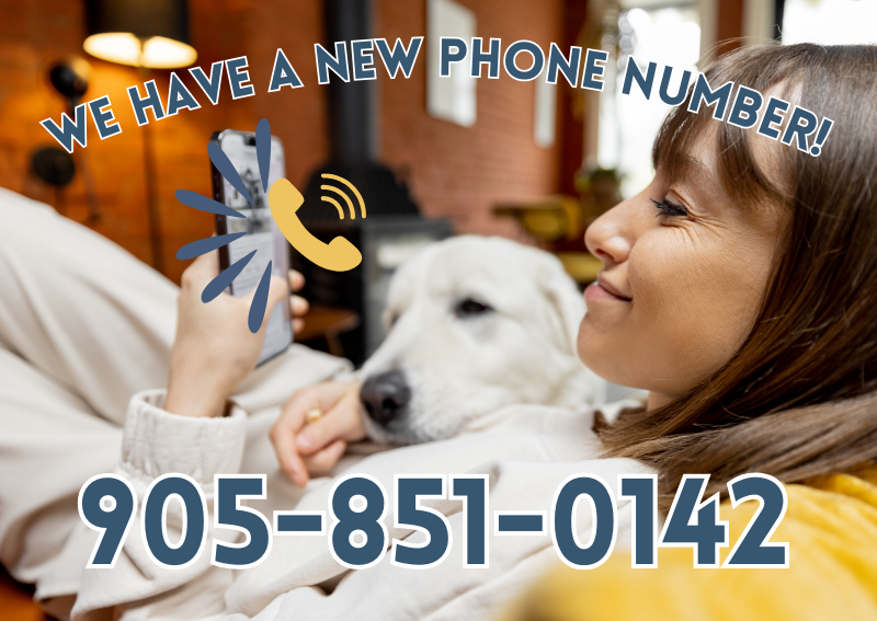 Carousel Slide 1: Contact Us!