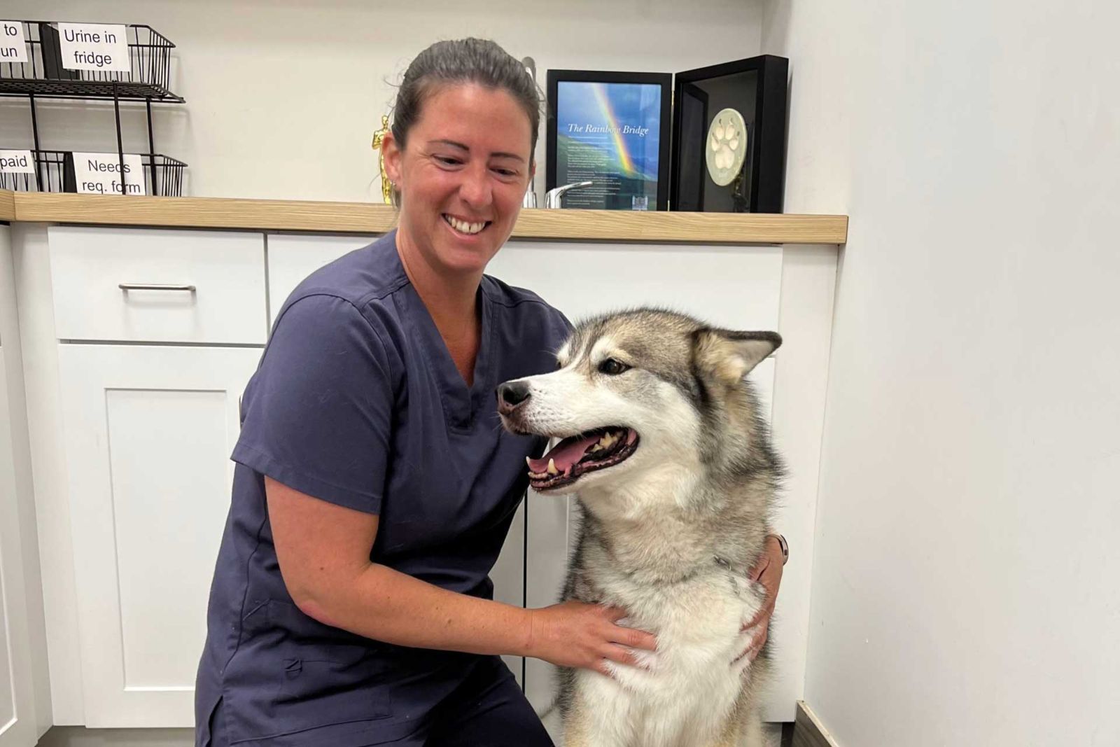 Staff member and husky