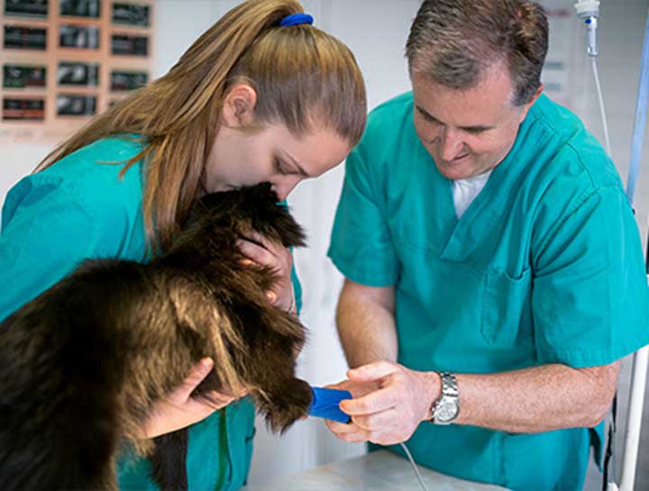 Anesthesia and Patient Monitoring