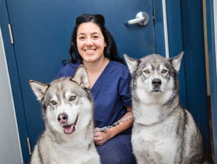 Preventive Care for Dogs
