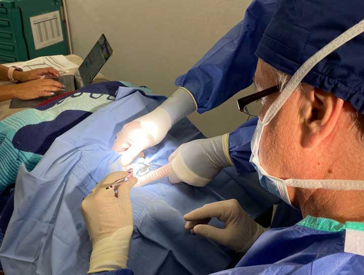 Spay & Neuter Procedures